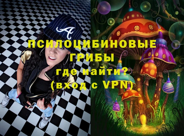 амф Дмитровск
