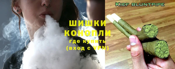 стаф Гусев