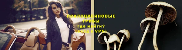 MDMA Premium VHQ Дмитриев