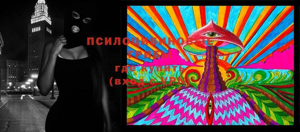 меф Дмитров