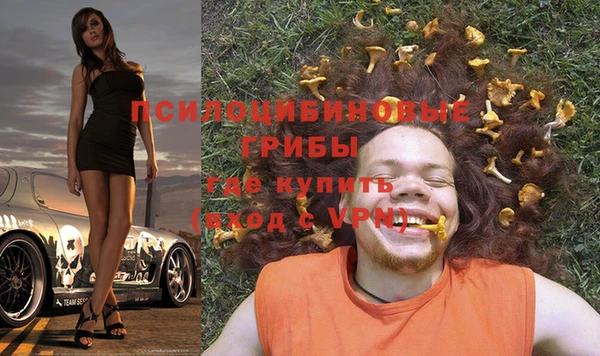 меф Дмитров