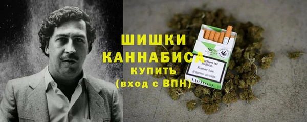 стаф Гусев