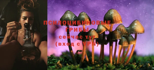 стаф Гусев